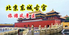 插入小穴无码中国北京-东城古宫旅游风景区